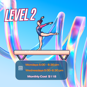 Gymnastics Rec Class Level 2