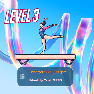 Gymnastics Rec Class Level 3